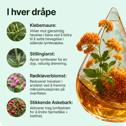 Lynora Lymfedrenerende Dråper™